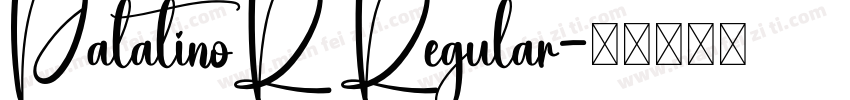 PalatinoR Regular字体转换